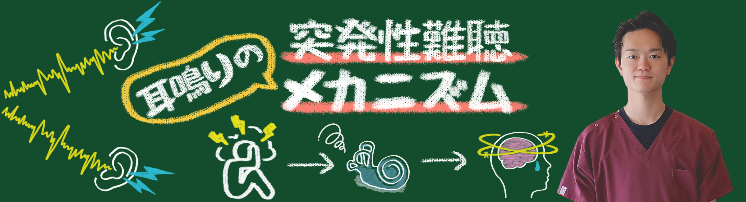 突発性難聴のメカニズム。突発性難聴と耳鳴りの真実・・・あなたの耳が発信しているサインとは?