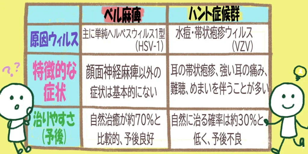 ベル麻痺とハント症候群の違い