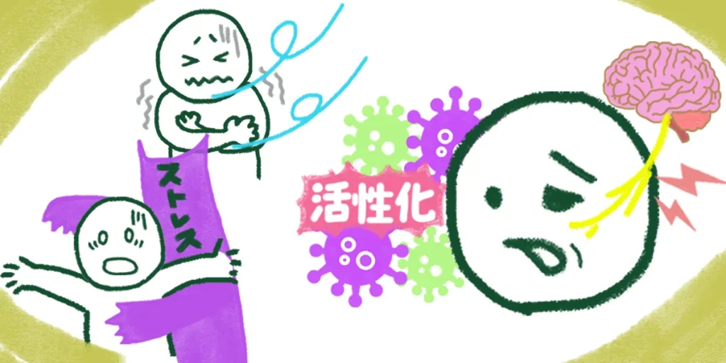 ストレスや寒さへの防露によるウイルスの活性化