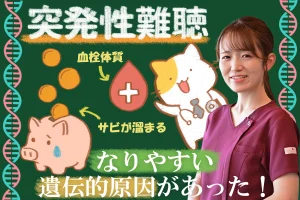 突発性難聴にはなりやすい遺伝的原因がある！その特徴を詳しく解説