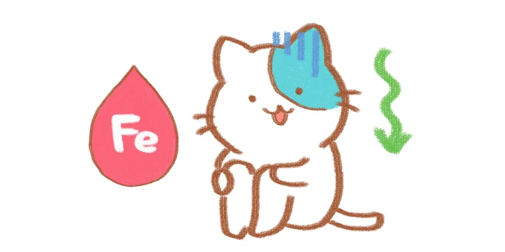 突発性難聴後遺症の悪化は全身の機能不全が原因