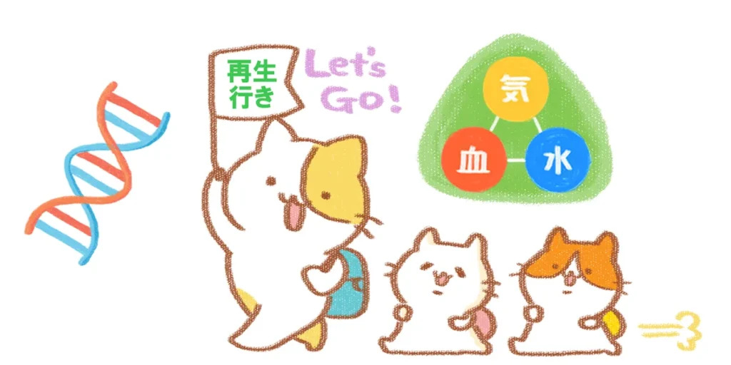 突発性難聴後遺症の改善には成長ホルモンの作用が重要