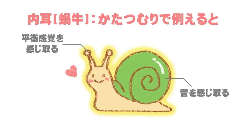 突発性難聴でダメージを受けた内耳の範囲が広いと後遺症が残りやすい