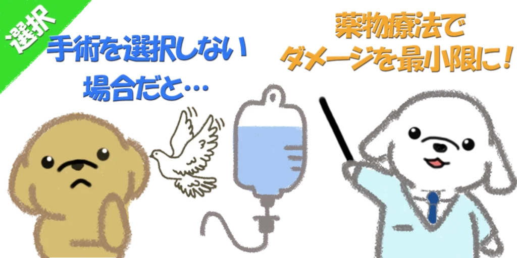 顔面神経麻痺｜筋電図検査の数値が厳しい場合の選択
