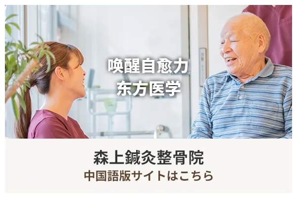 森上鍼灸整骨院中国語版